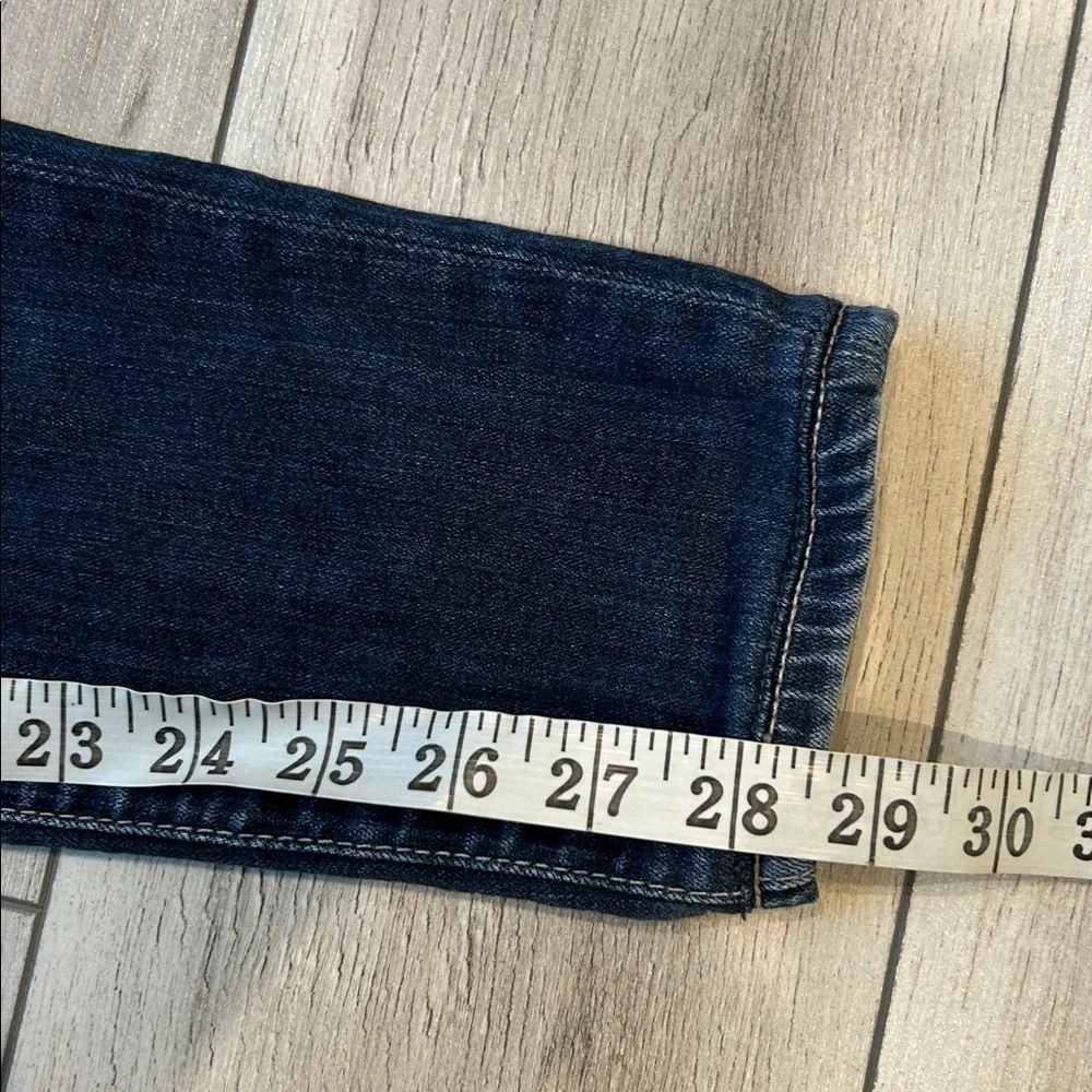 Big Star Alex skinny fit jeans size 26